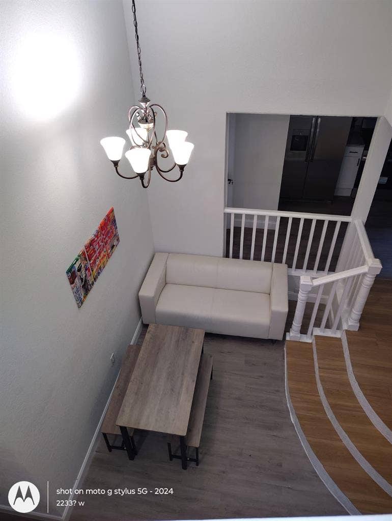 8 BR in Tampa