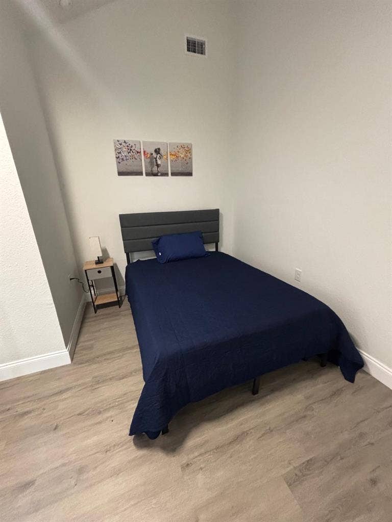 8 BR in Tampa