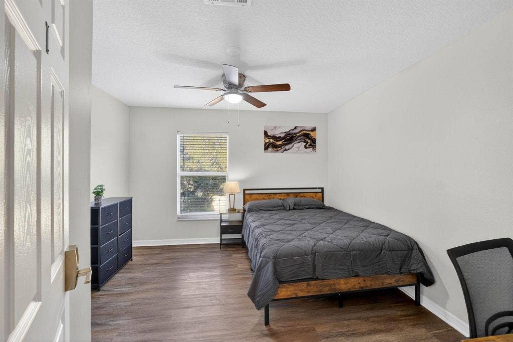 3 BR in Tampa