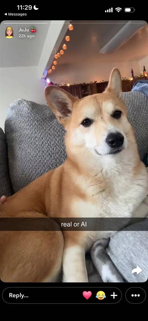 Looking for a new roommate by April