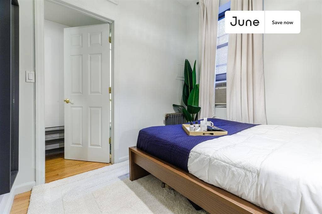 1 BR in New York City