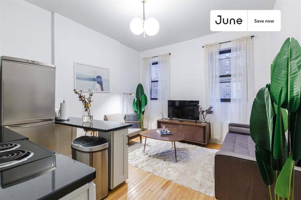 1 BR in New York City