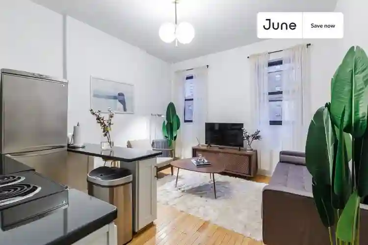 1 BR in New York City