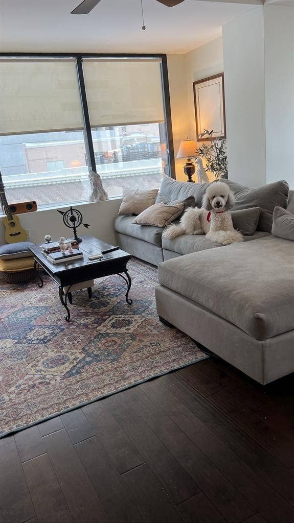 Downtown Room in rent.