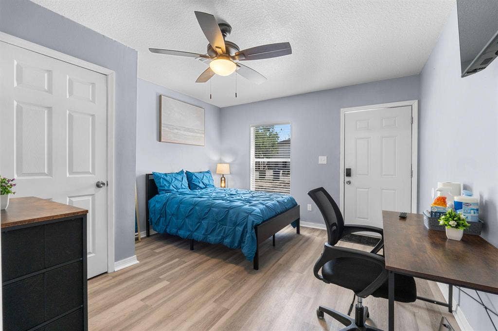 3 BR in Tampa