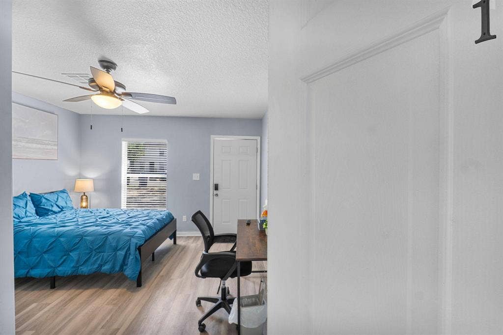 3 BR in Tampa