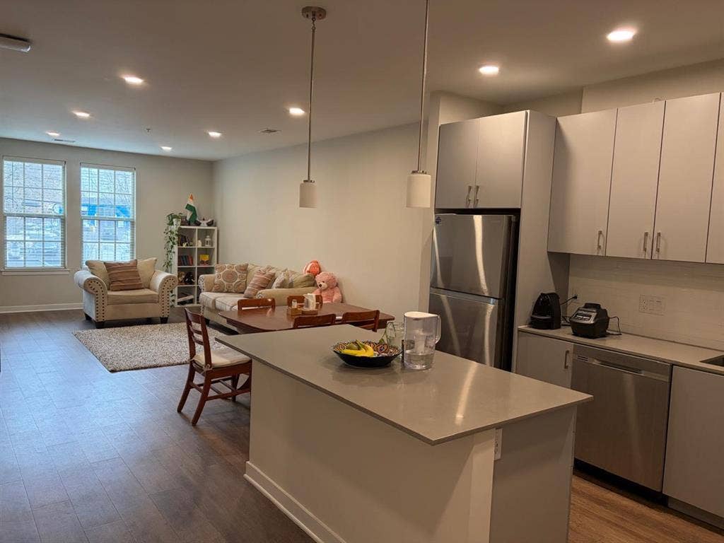 Luxury 1 Bed 1Bath pet friendly Apt