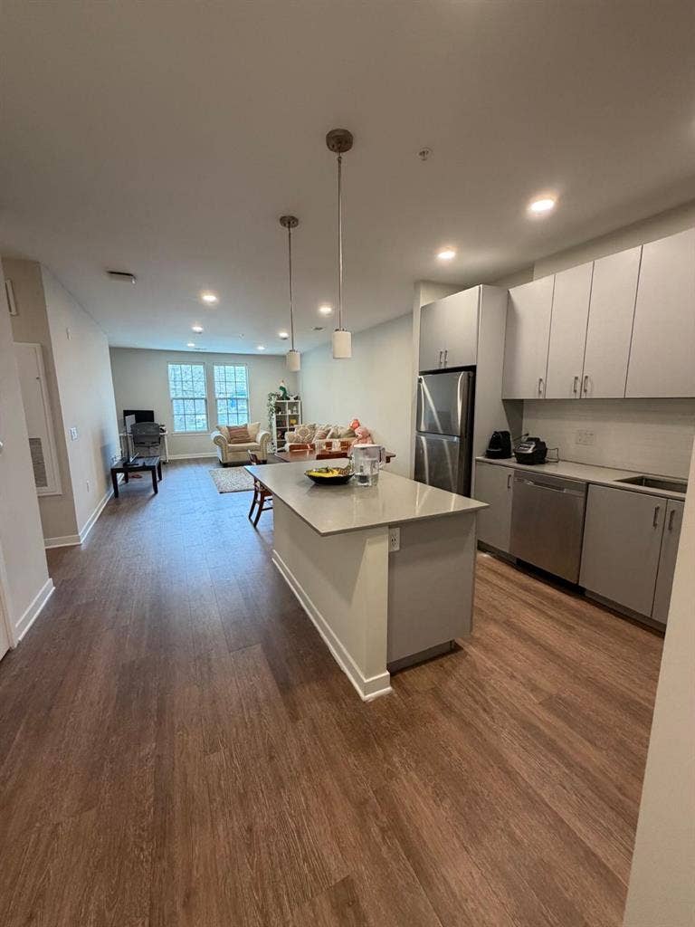 Luxury 1 Bed 1Bath pet friendly Apt