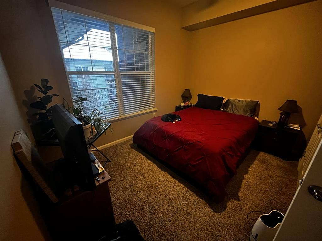 2bd 2br City Park- Roommate Wanted