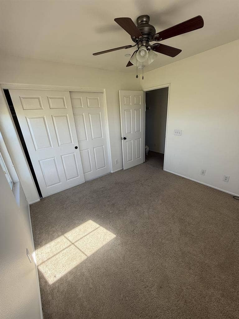 1bed/bath $1300 or 2bed/1bath $1900
