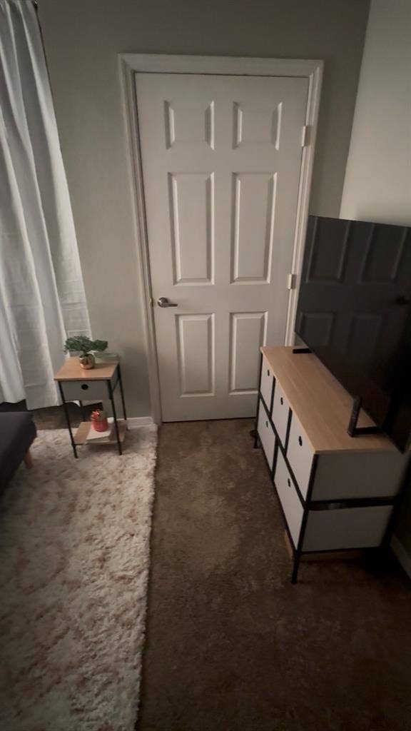 Female Lease Takeover Near USF