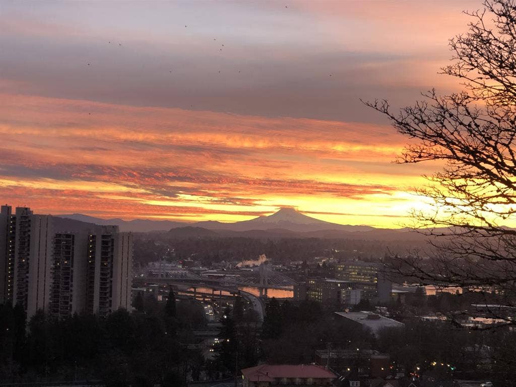 1 bed - SW Hills / PSU - Shared