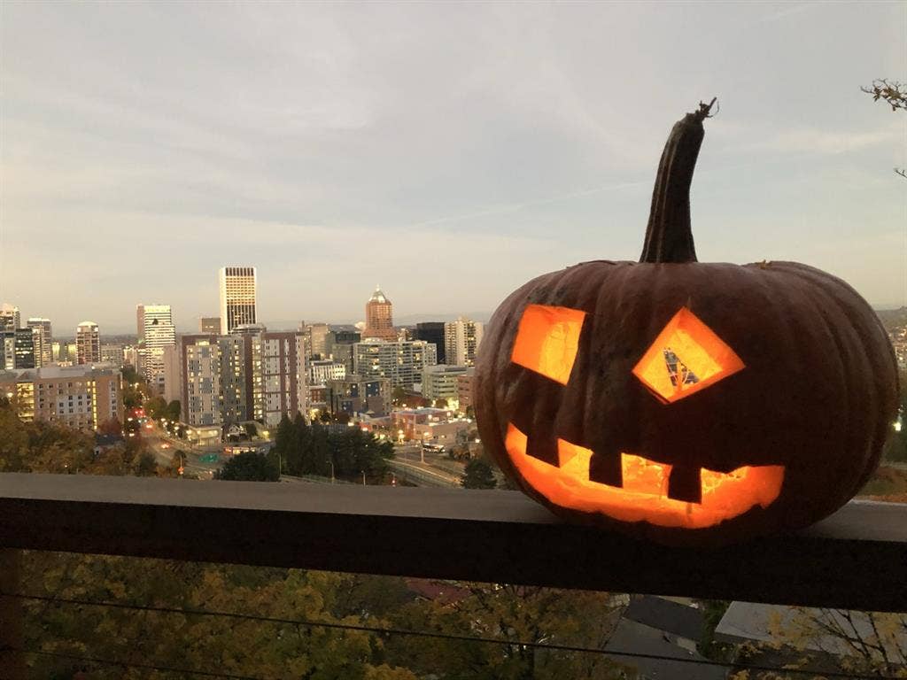 1 bed - SW Hills / PSU - Shared