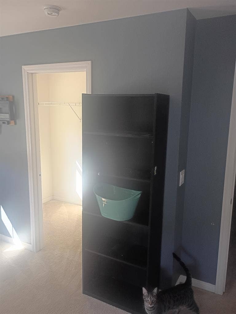 Room for rent in Lake Elsinore