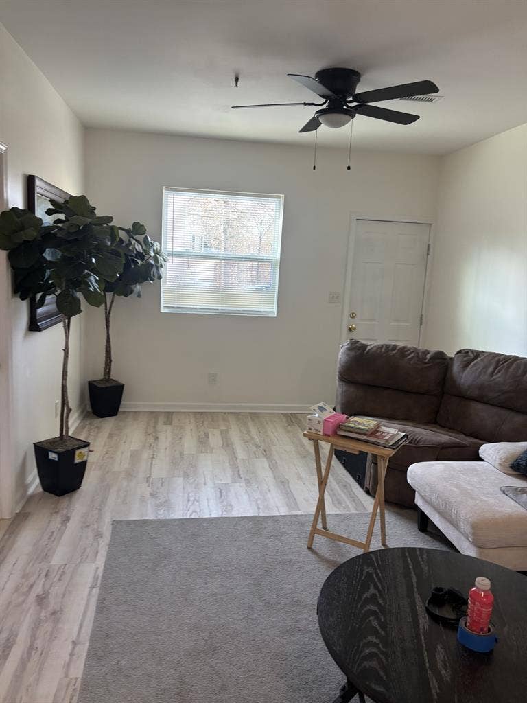 Downstairs room for rent