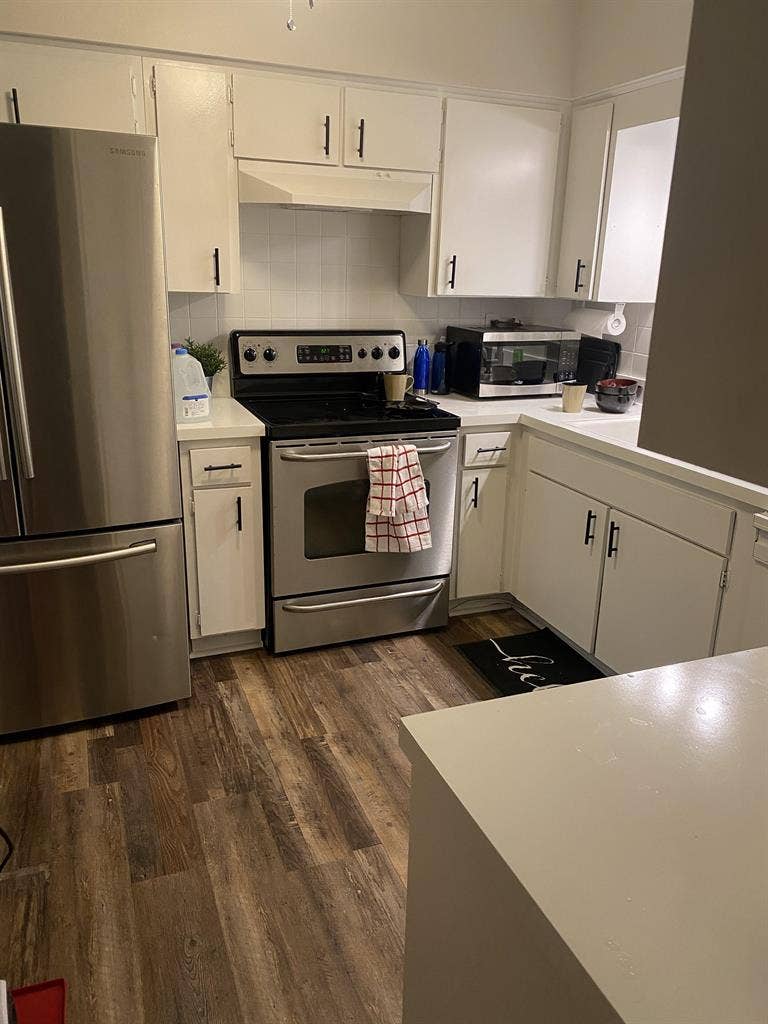 4 BR in Tampa