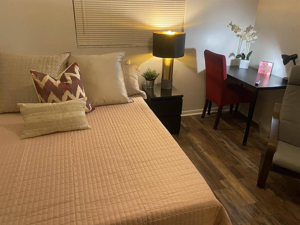4 BR in Tampa