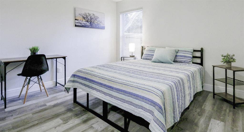 5 BR in Tampa