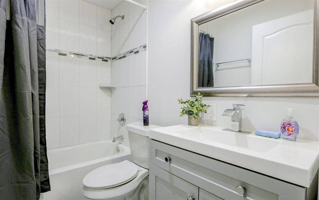 5 BR in Tampa