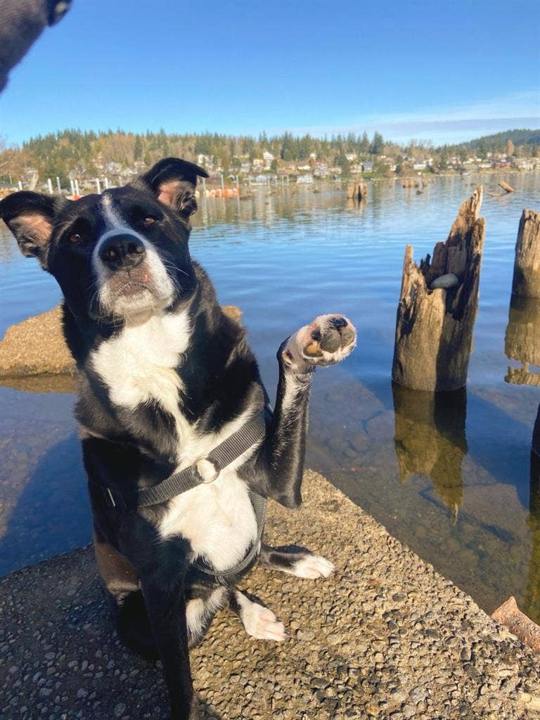 Looking for roommate to sign a 2br!