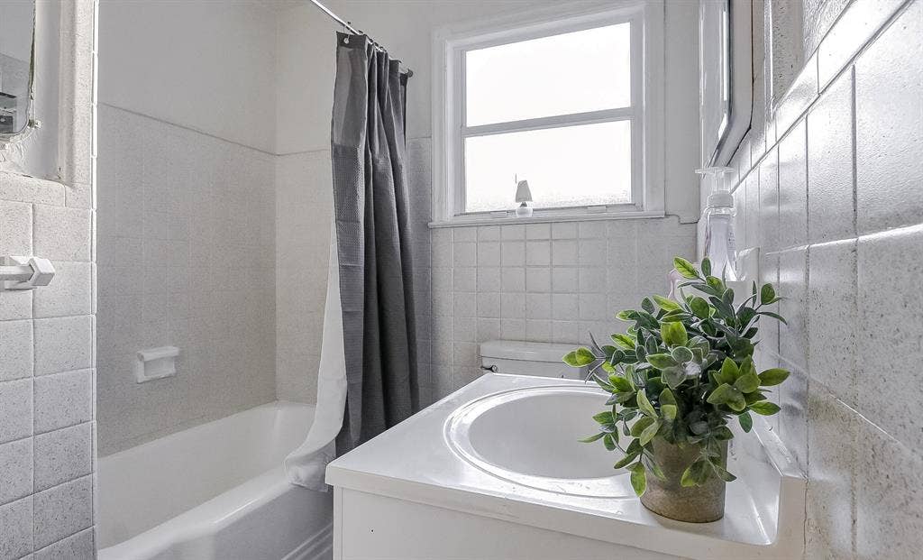 5 BR in Tampa