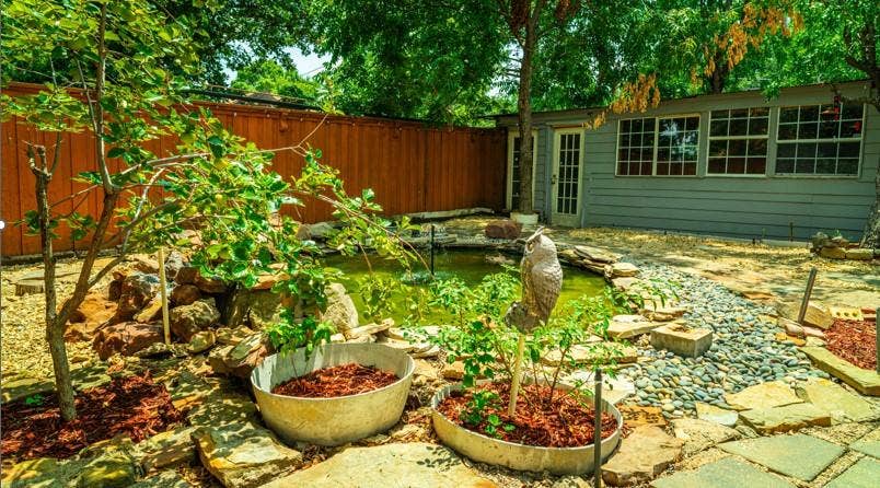 5 BR in Dallas