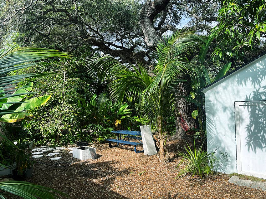 Peaceful Little Haiti shared gem