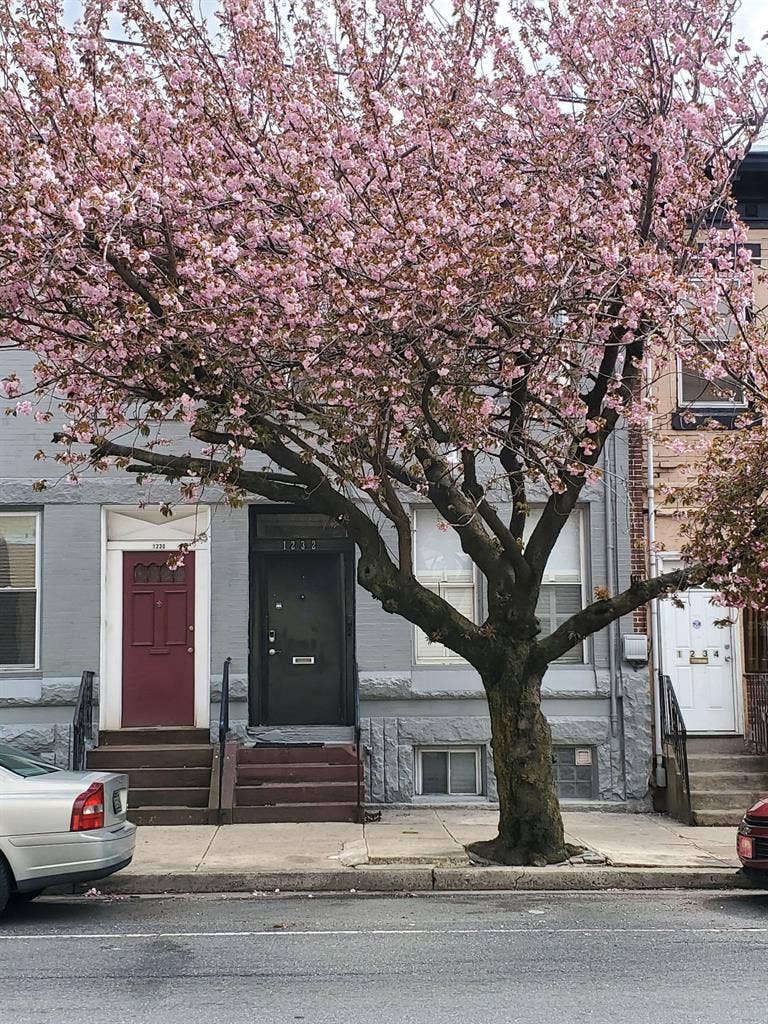 4 BR in Philadelphia