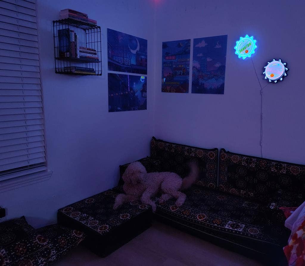 Medium size room in nerdy townhouse