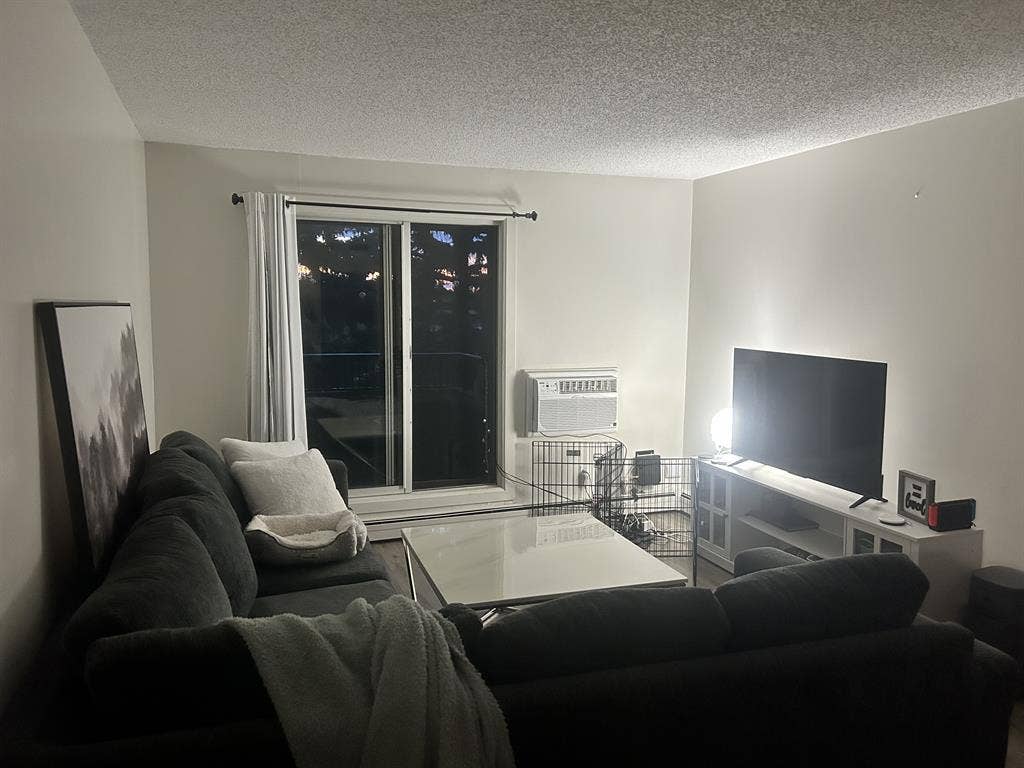 Seeking female roommate