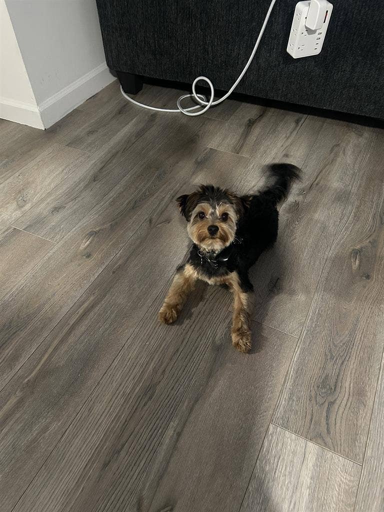 Seeking female roommate