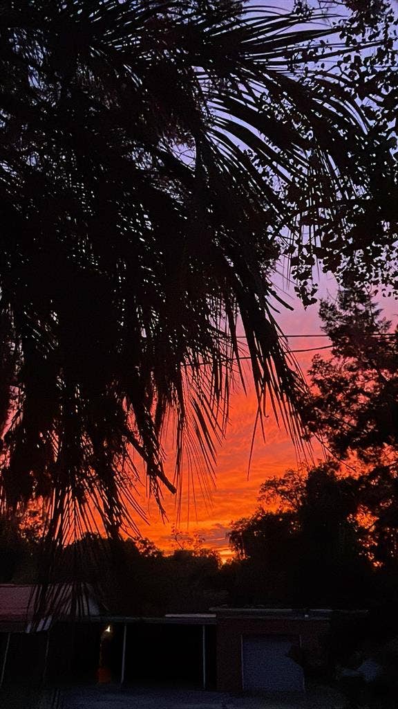 8 BR in Jacksonville