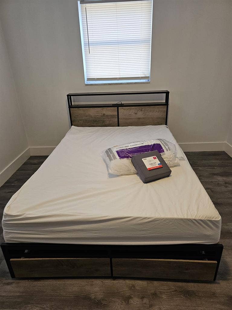 5 BR in Tampa