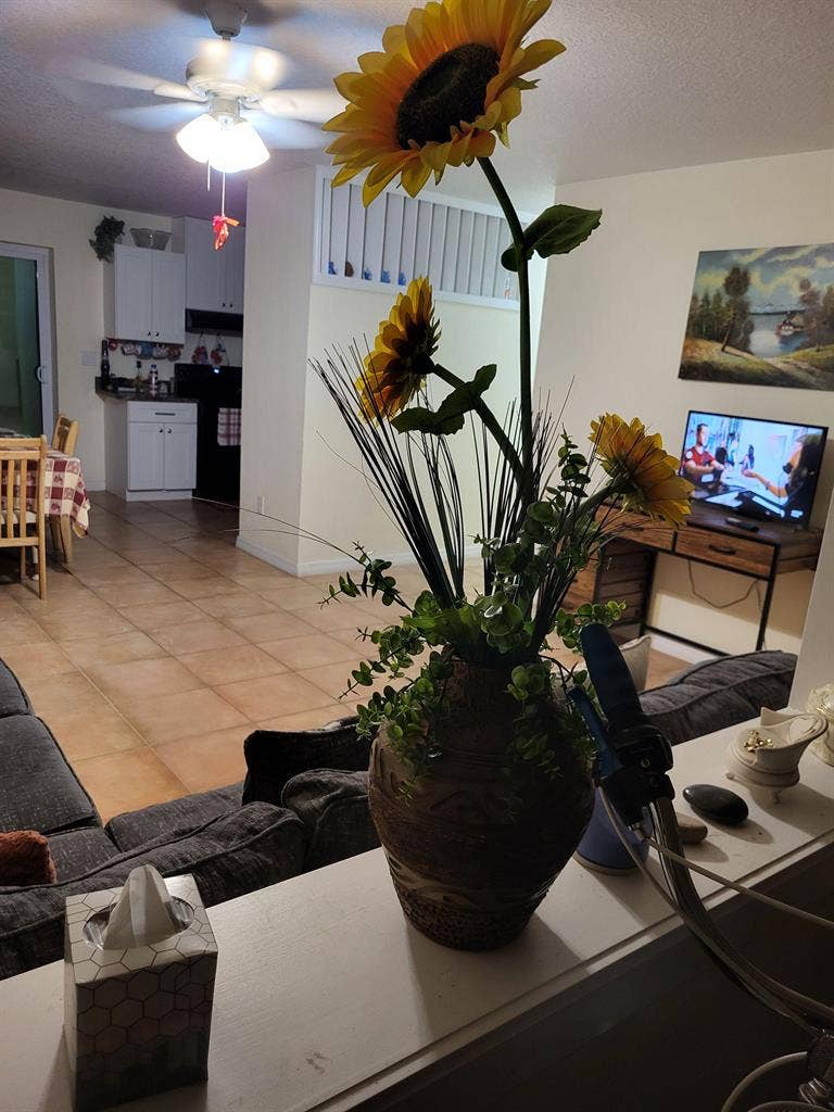 1 BR in Orlando