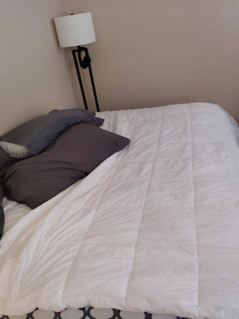 Looking for a Chill Roomie