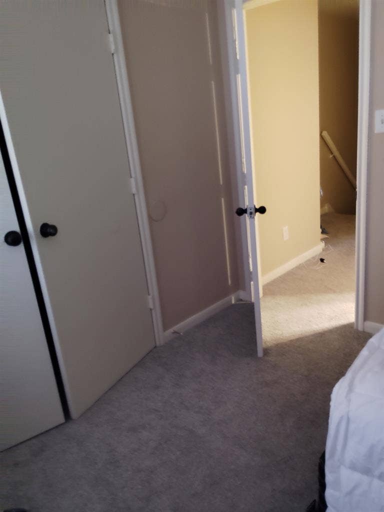 Looking for a Chill Roomie