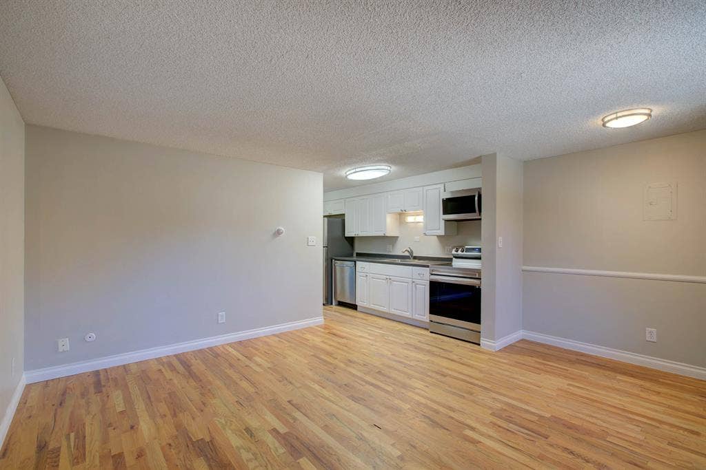 Wash Park 1BR Sublet Apr–Aug