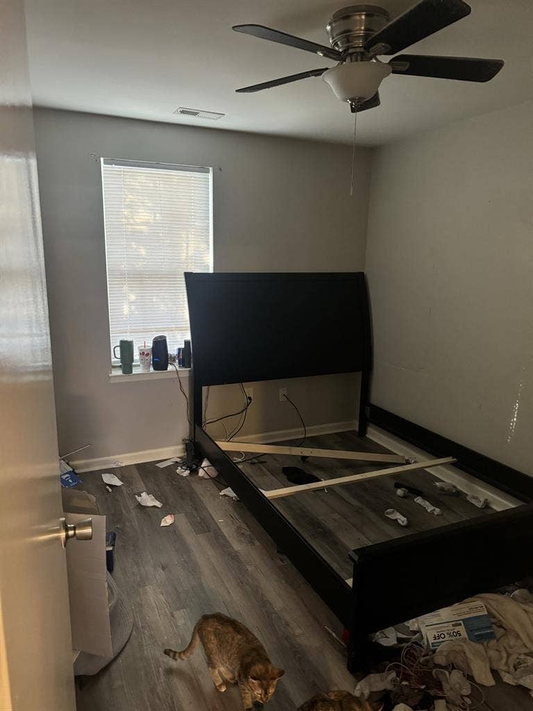 Roomates just moved