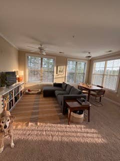 Roommate for 2/2 in Cary NC