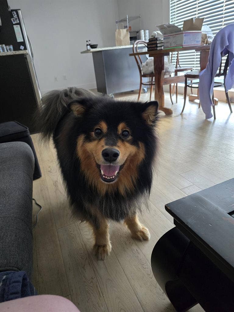 Private room+bathroom in SW DC!