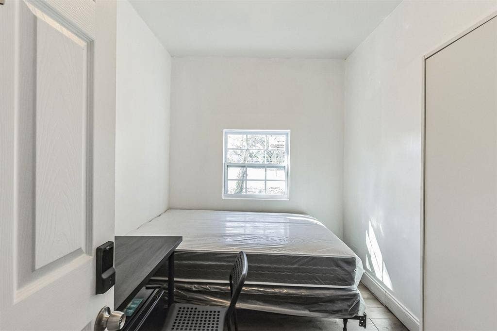 6 BR in Tampa