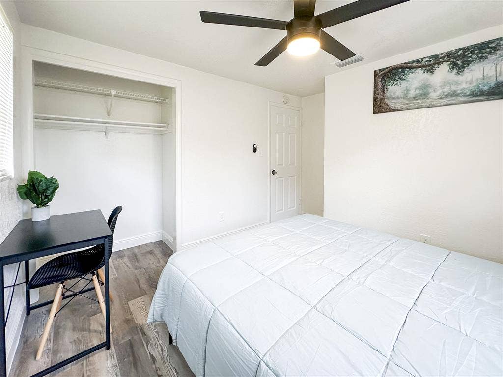 7 BR in Tampa