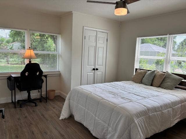 6 BR in Dallas