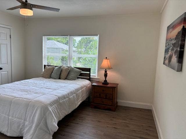 6 BR in Dallas