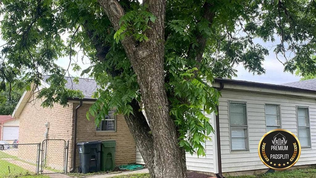 6 BR in Arlington