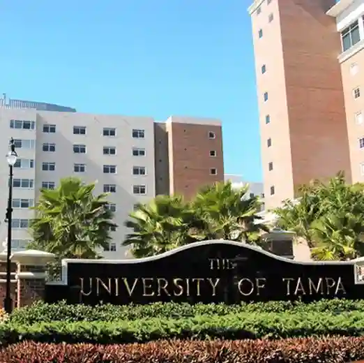 4 BR in Tampa