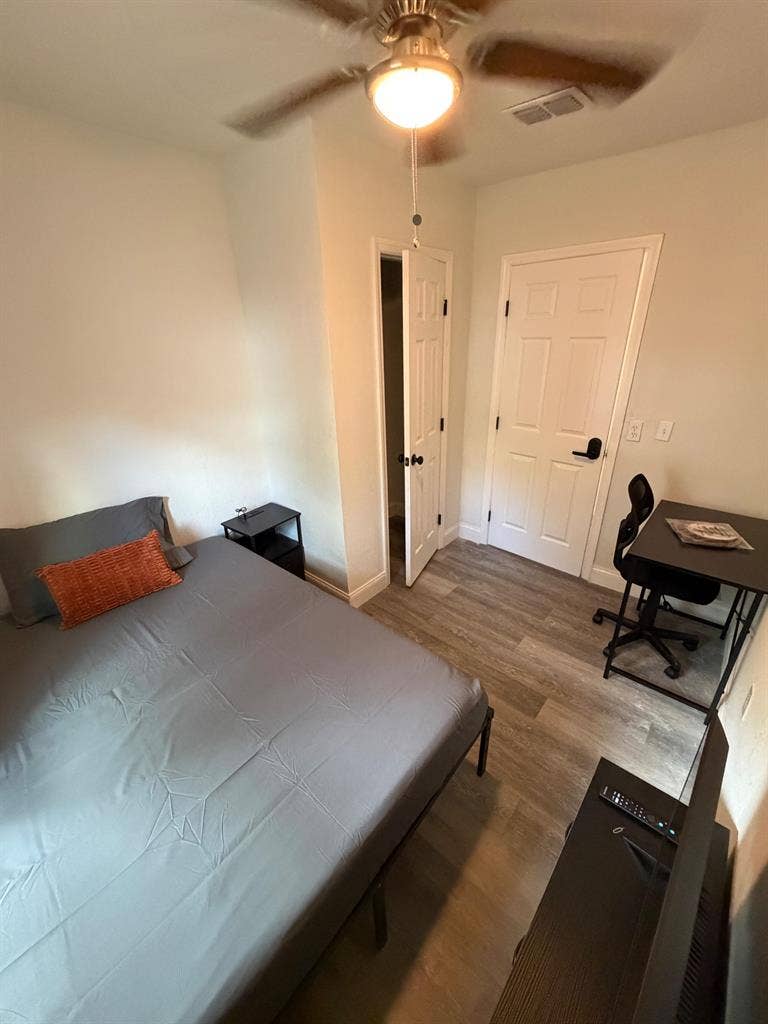 5 BR in Tampa