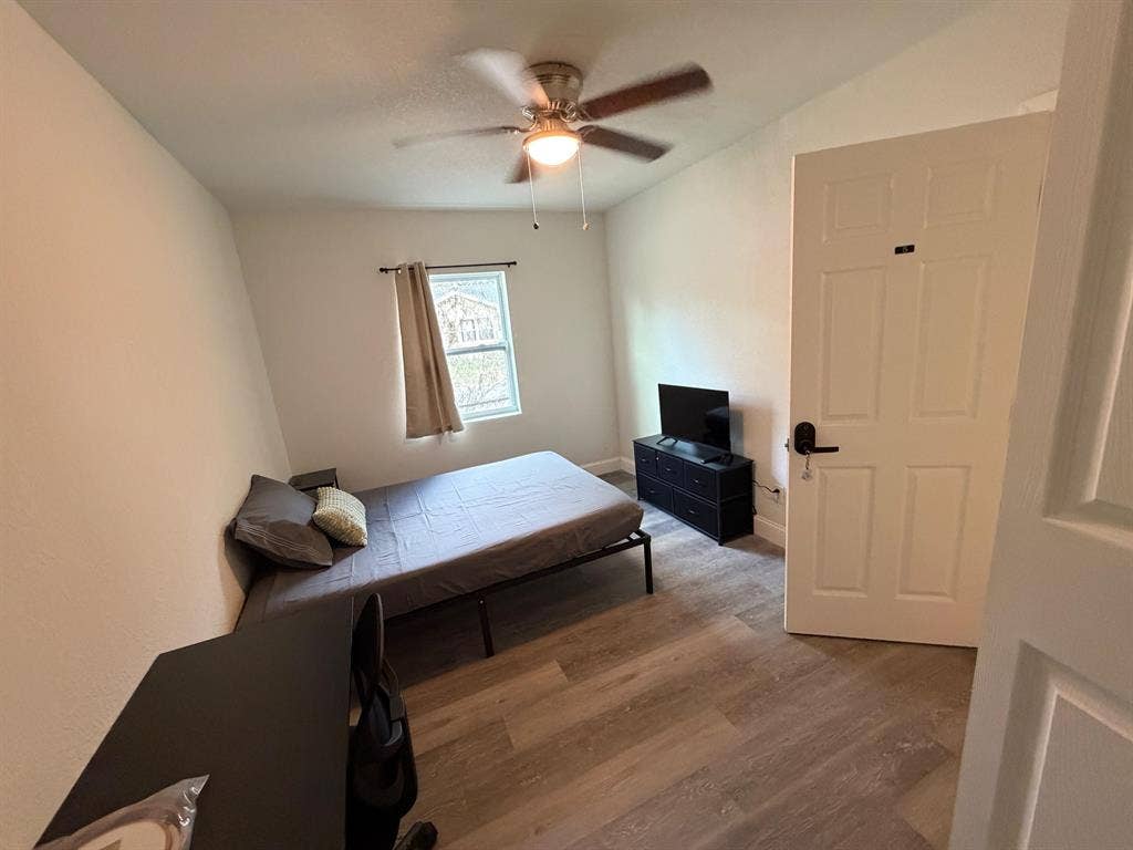 5 BR in Tampa