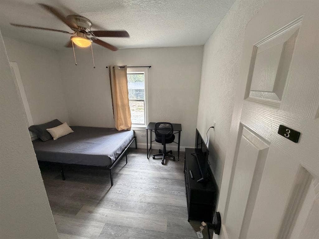 5 BR in Tampa