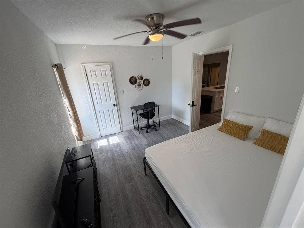 5 BR in Tampa